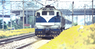 train