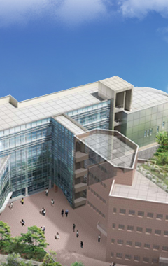 photo - College of Business & Economics