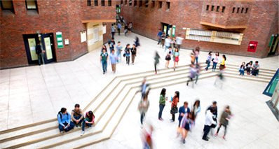 Undergraduate Application
