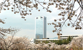 Spring