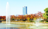 Fall