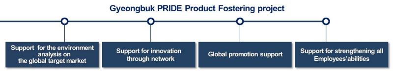 Gyeongbuk Pride Product Fostering project